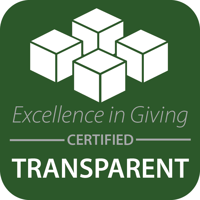 Excellence in Giving Logo